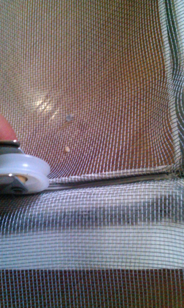 老公学这招在家换纱窗，竟省了几百块钱！维修师傅看了直呼抢饭碗