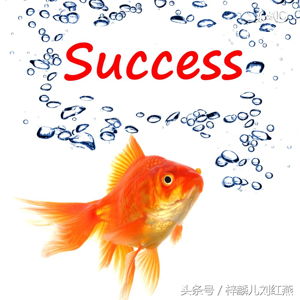 微商微营销教程,做微商必备的营销方法