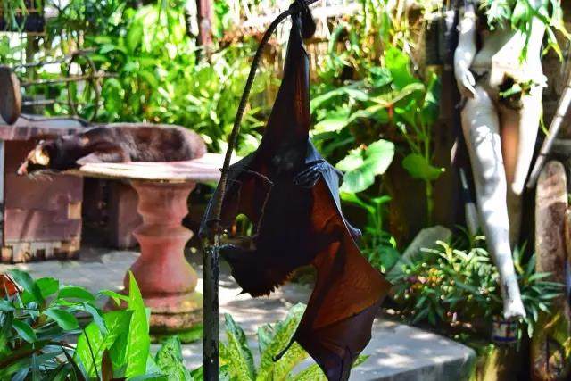 大家以前是不是都拍过这样的照片,每个人都见过的照片