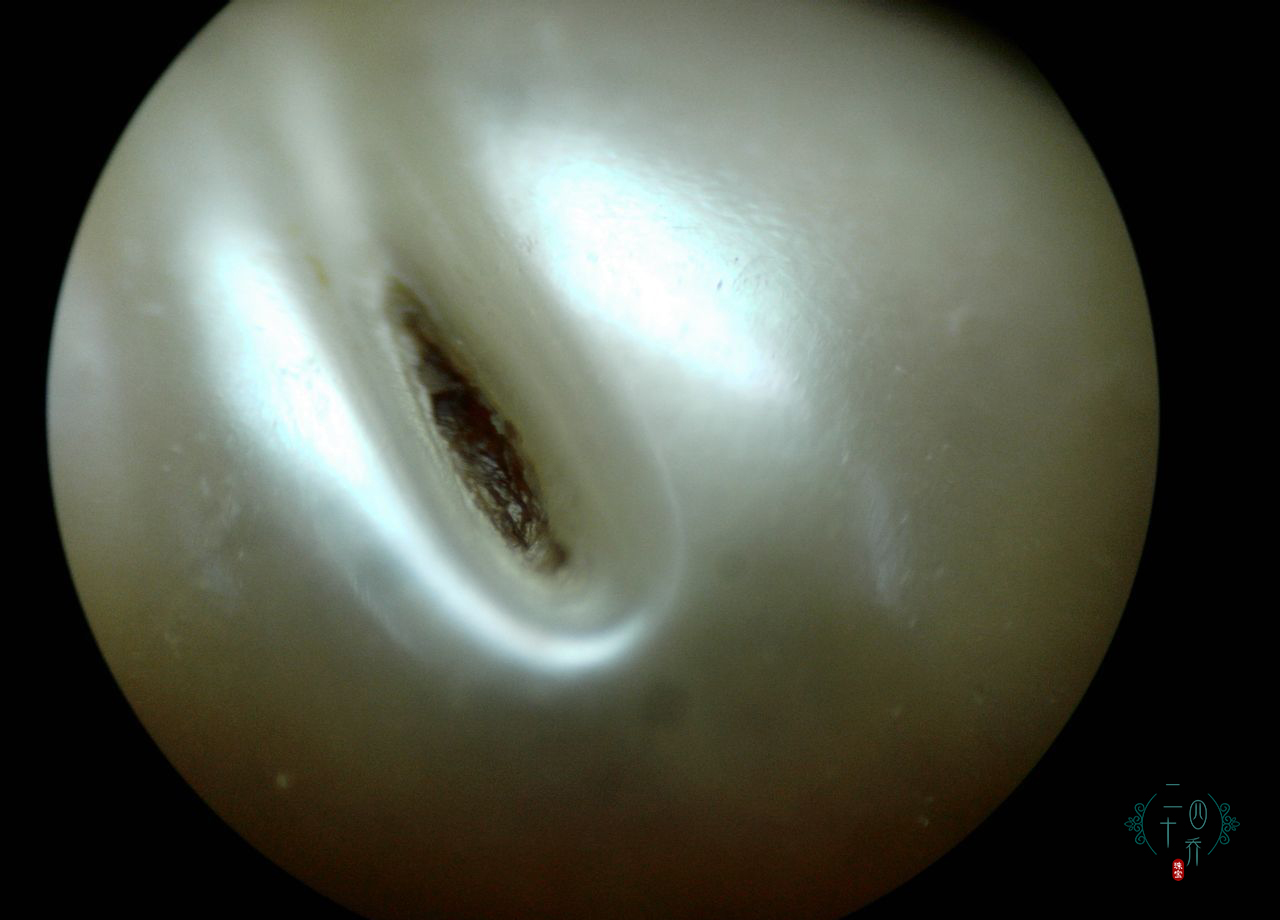 买珍珠好还是黄金好,买珍珠买海水还是淡水