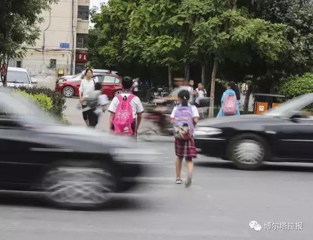 影像记忆资料,影像记忆与群体历史