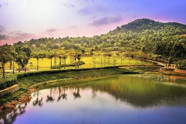 冬天的大亚湾,惠州大亚湾夏天的真实感受