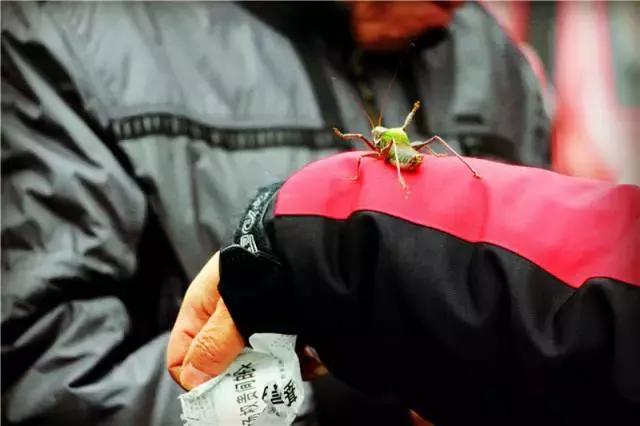 天津淘宝街搬哪去了,天津淘宝街地址有哪些