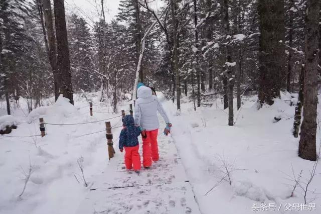 带宝宝去长白山滑雪关注什么,带娃去长白山滑雪
