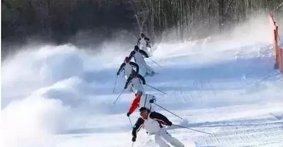 2021年洛阳旅游攻略指南,洛阳旅游攻略2015