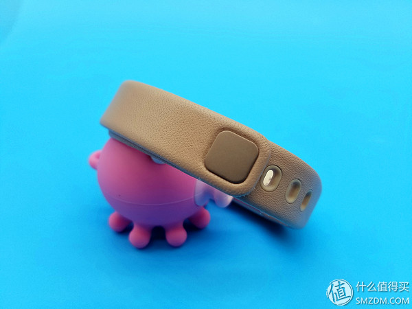 乐心手环ziva是哪个系列,乐心ziva手环值得买吗