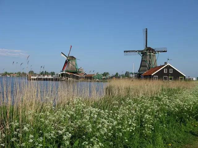 坚持不懈甲骨文,建筑与艺术的糅合