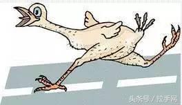 国际大牌们！求你们放过我们的鸡——吧！