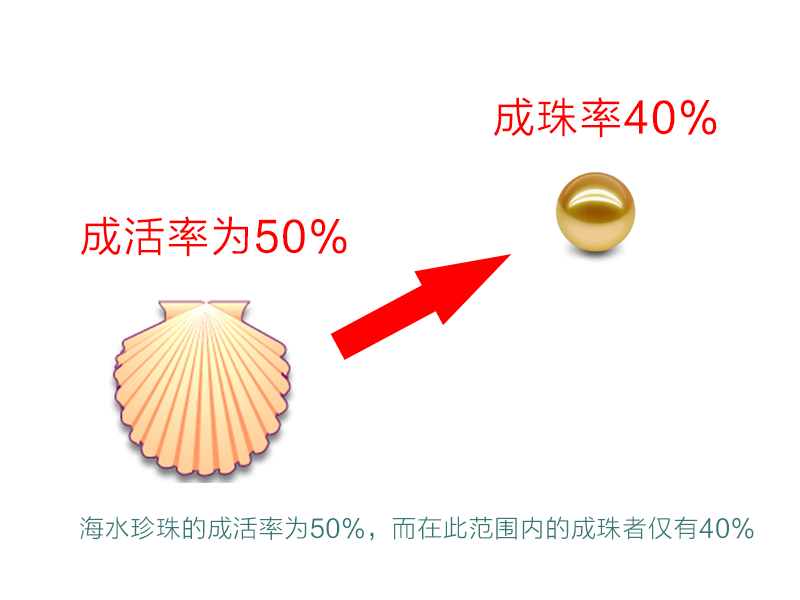 买珍珠好还是黄金好,买珍珠买海水还是淡水