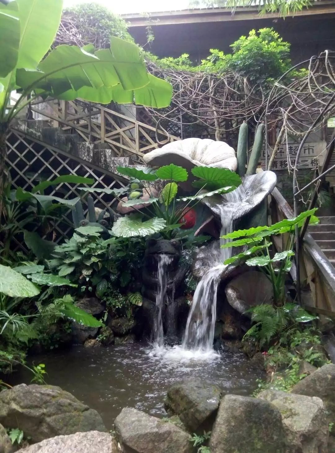 深圳青青世界酒店,深圳青青世界旅游大全