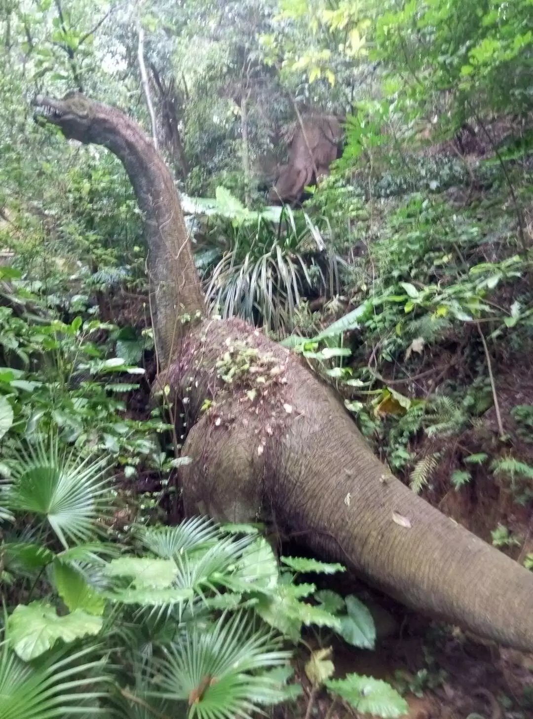 深圳青青世界酒店,深圳青青世界旅游大全
