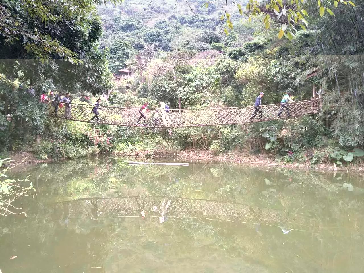深圳青青世界酒店,深圳青青世界旅游大全