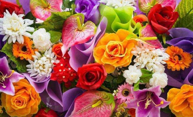 居家生活小妙招100例,居家生活小妙招2020年