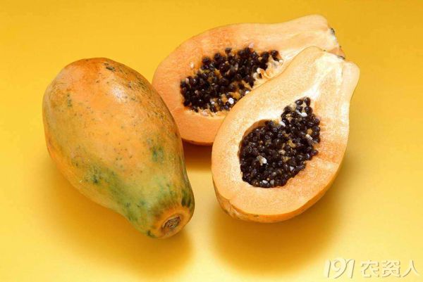 平常吃的是木瓜还是番木瓜,番木瓜和木瓜的味道一样吗