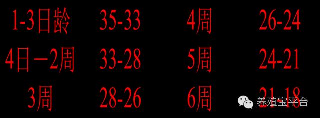 爱佳集团杨经理,杨文斌的养殖场
