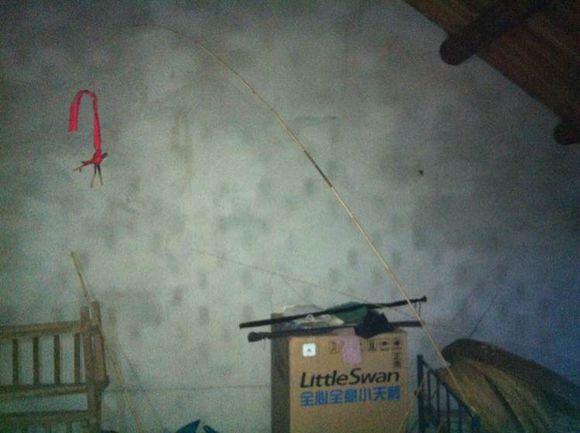 自己用竹子手工打造钓鱼竿，附上完整设计图和流程图