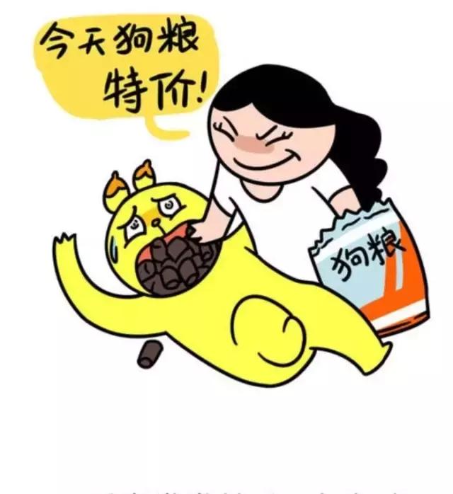 王励勤的妻子多娜的照片,多娜和王励勤结婚了吗