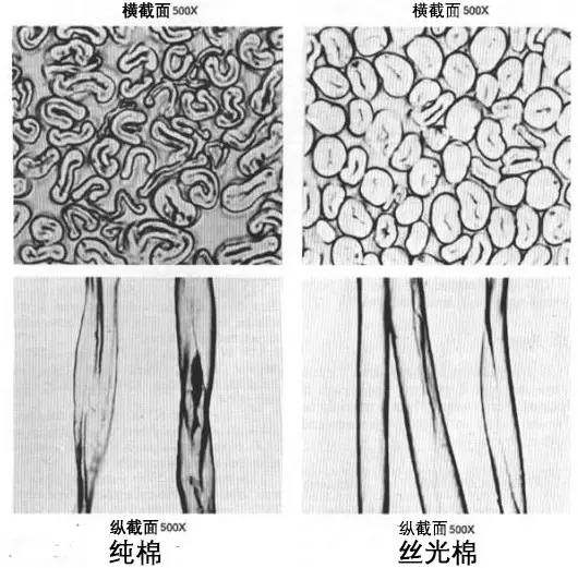 丝光棉是什么面料,55%丝光棉和45%丝光纤维好吗