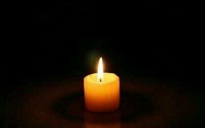 选择汪星人只看价格？真实经历告诉你为何不要贪便宜