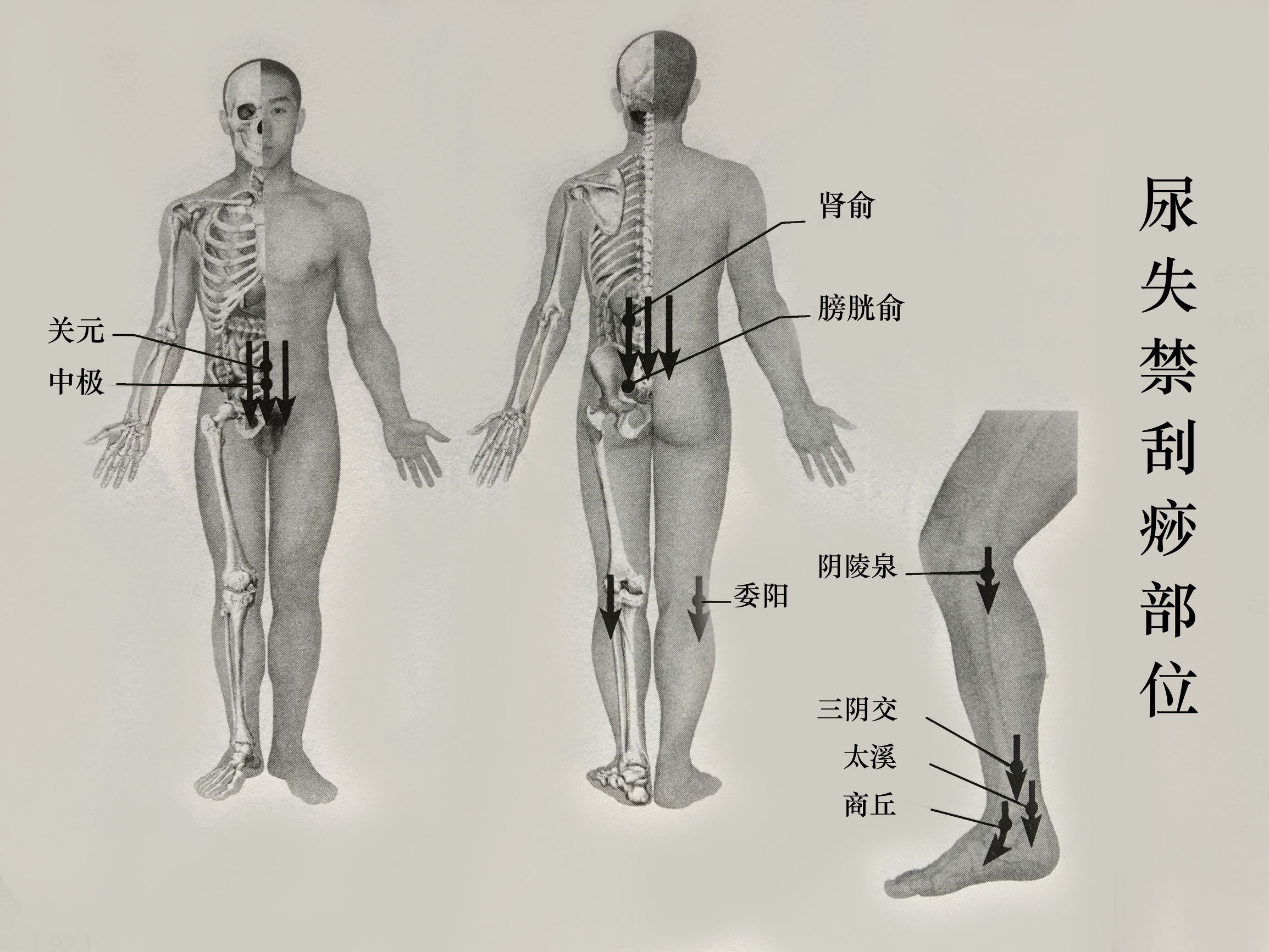 泌尿道结石止痛用药,尿结石穴位按摩止痛法