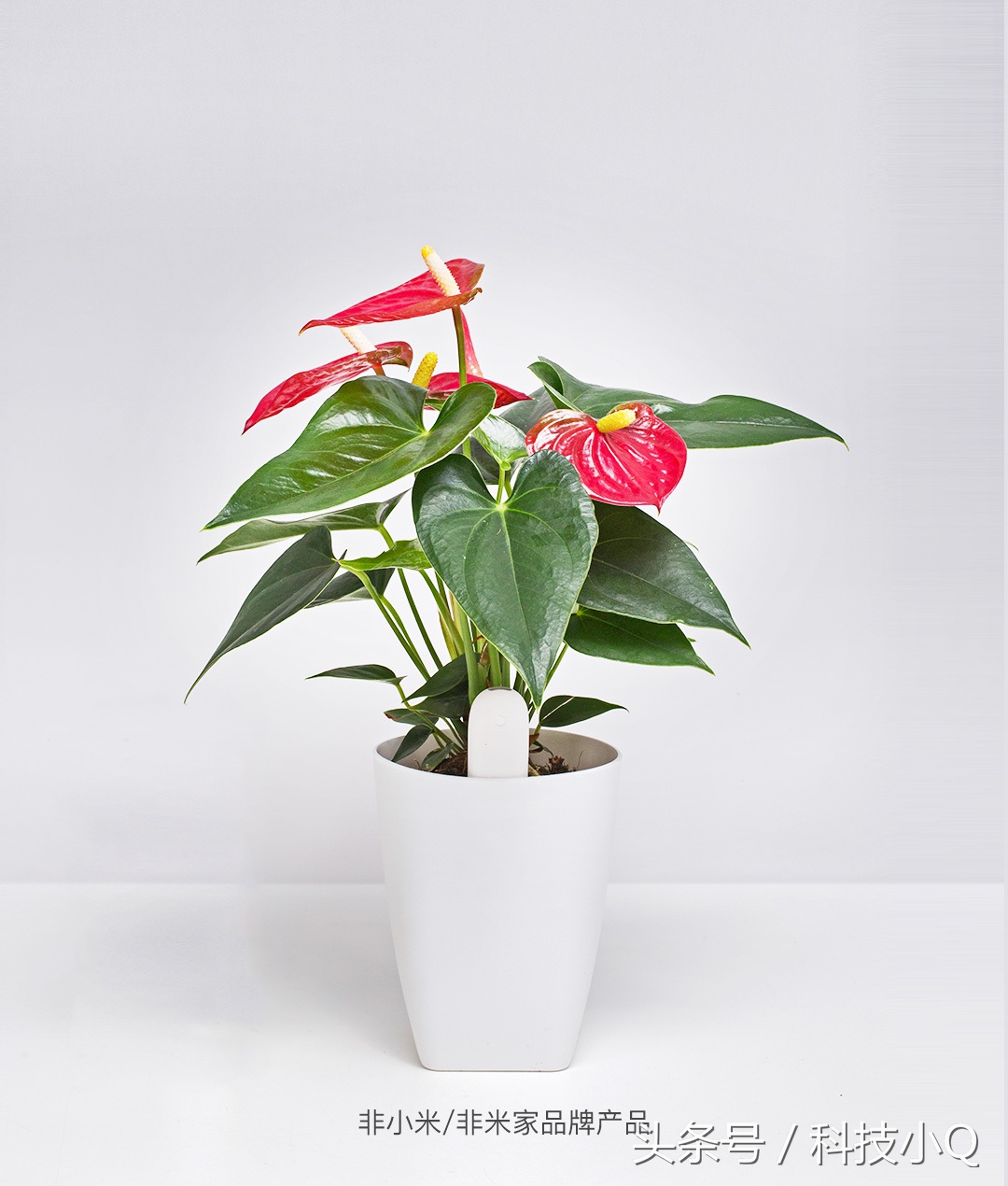 小米笔记本air2023款,2016款小米air笔记本