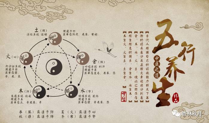 中医的治疗八法是什么,中医的治疗房颤的方法