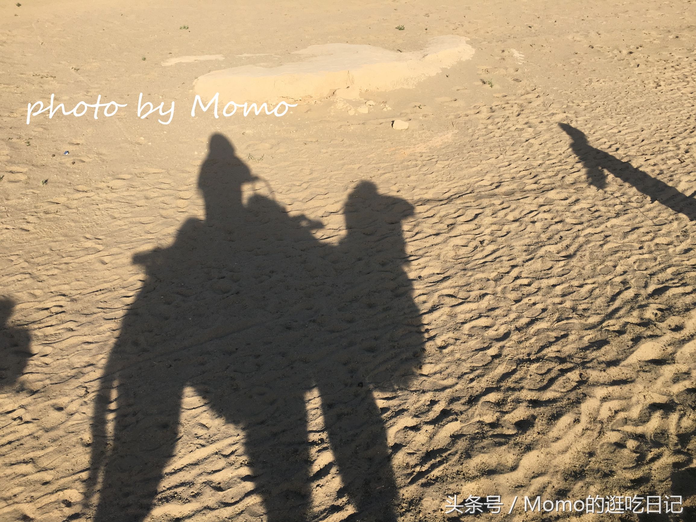 骑骆驼是怎样的一种感受？