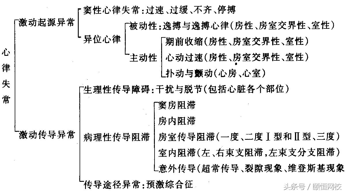 郭雅卿心电图讲解全集,郭雅卿血汗管视频课