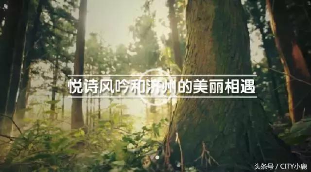 悦诗风吟是韩国牌子,韩国悦诗风吟遮瑕