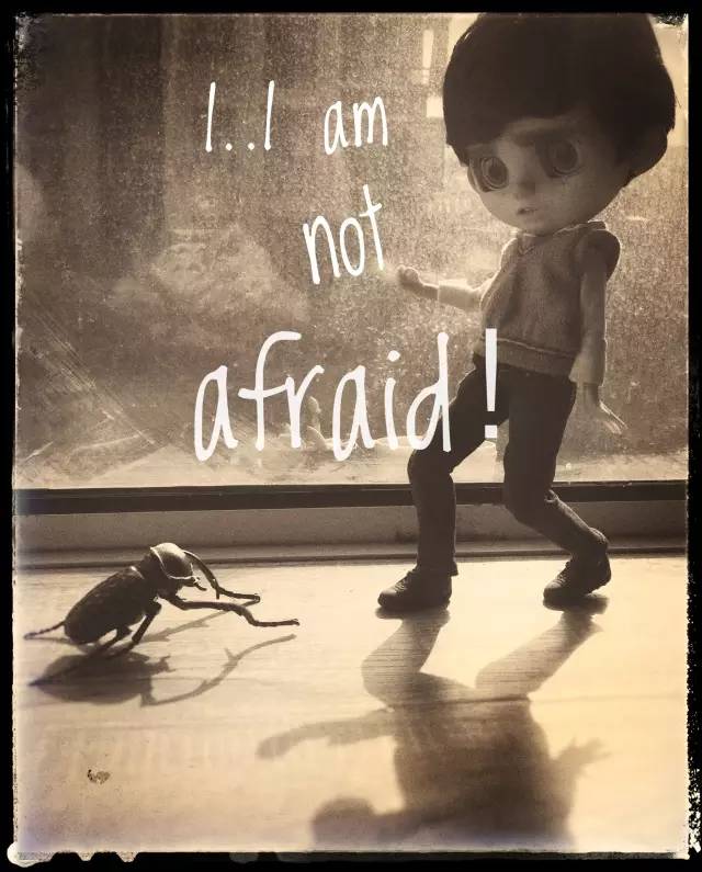 我曾在漫展上见过他们，身旁有一只精致的娃娃陪伴