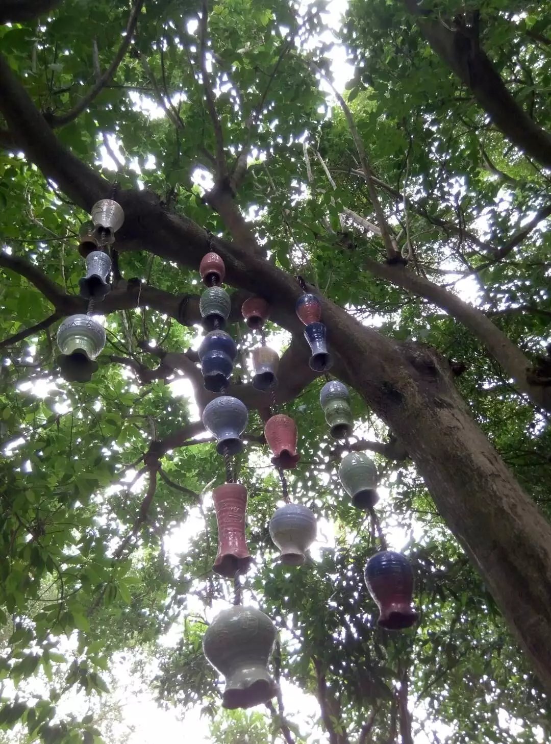 深圳青青世界酒店,深圳青青世界旅游大全