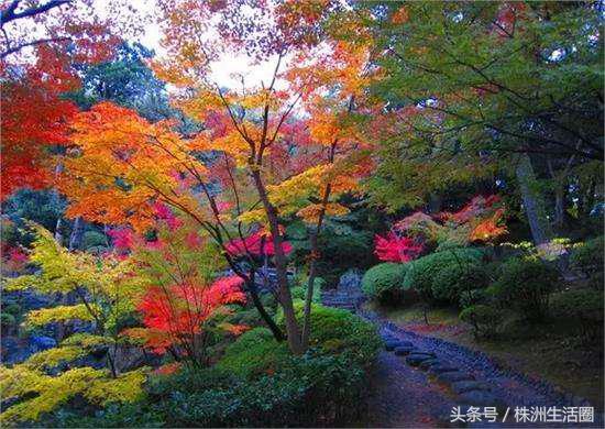 株洲市总体规划,株洲2019年规划