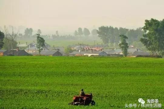 株洲市总体规划,株洲2019年规划