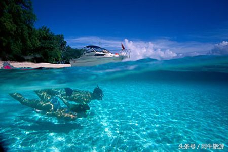春日美丽的景色,春日里的风景美景