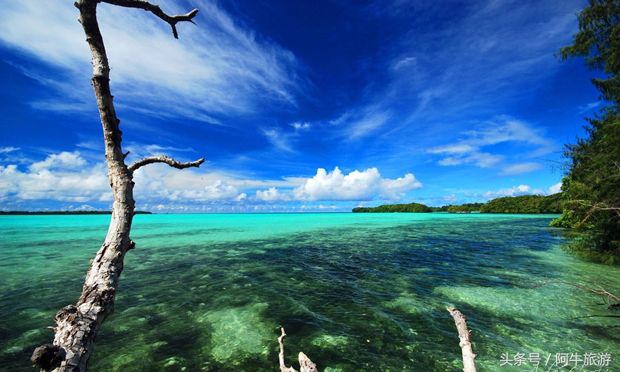 春日美丽的景色,春日里的风景美景