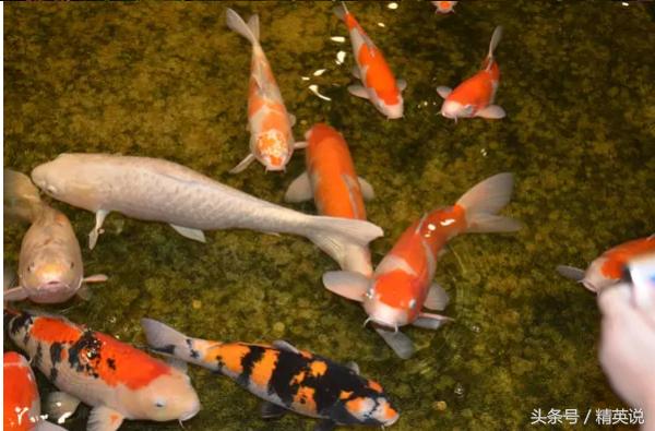 免税店十大品牌排行榜,亚洲5大机场免税店买什么最划算