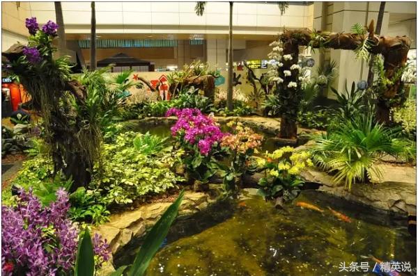 免税店十大品牌排行榜,亚洲5大机场免税店买什么最划算