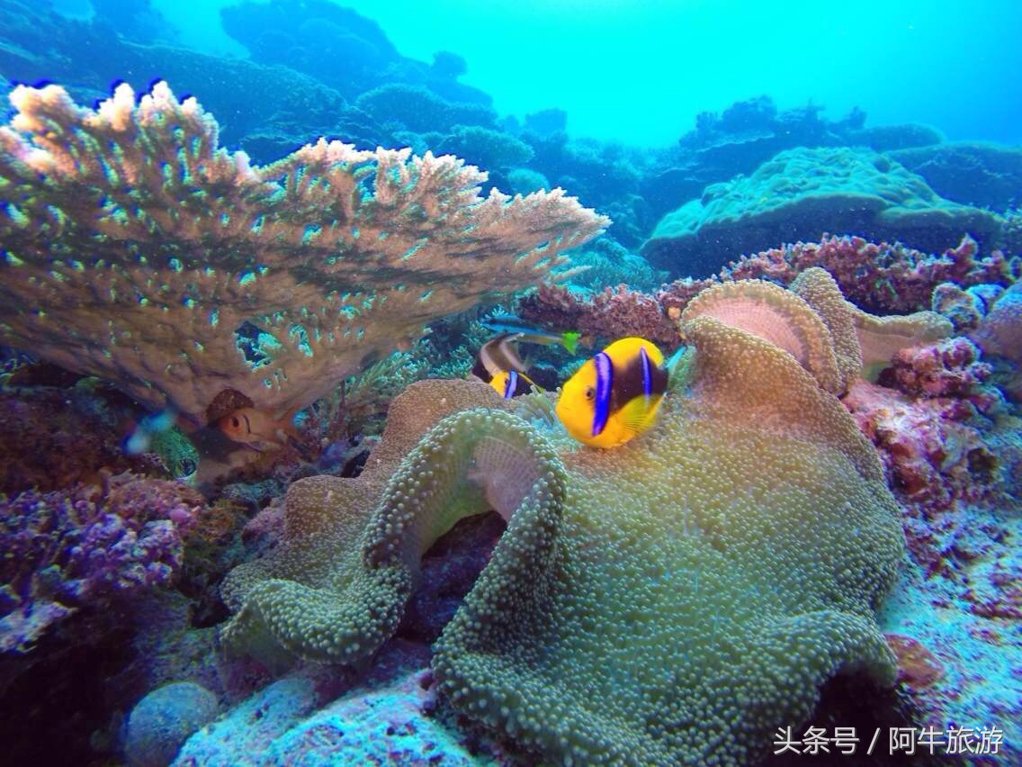 春日美丽的景色,春日里的风景美景