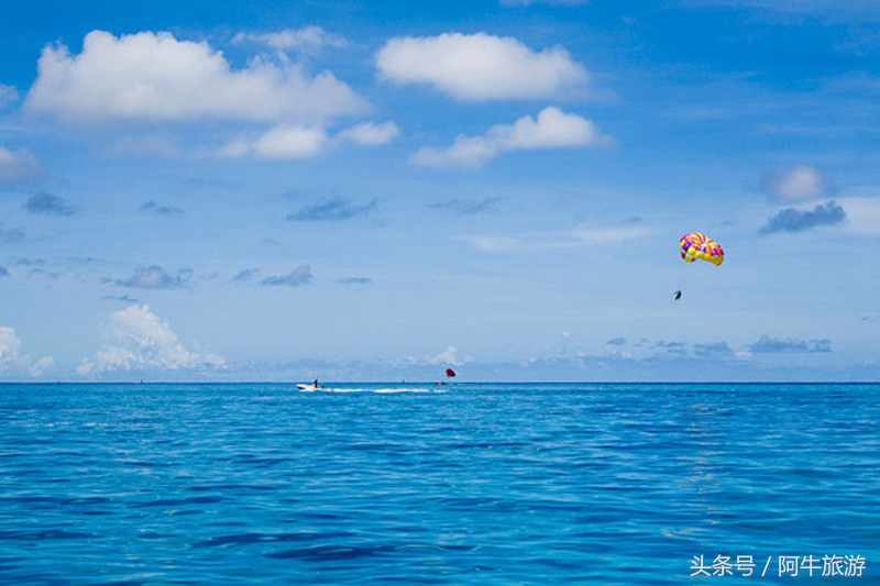 春日美丽的景色,春日里的风景美景