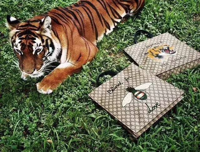 花了几千刀买的奢侈品包包究竟是什么鬼？！