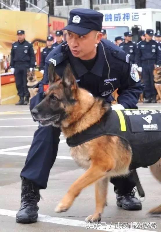 浜哄湪姹熸箹鐪熷疄闀栧眬瑙嗛,浜哄湪闀栧眬