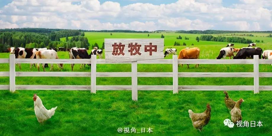 「生物股长」宣布暂停演唱活动 进入放牧期