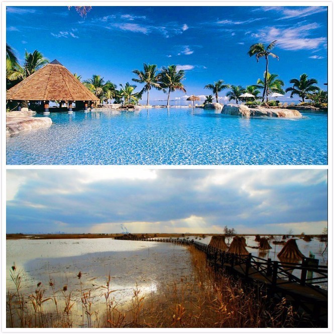 时髦办｜直男现在都懂小猪皮CPU和TFboys口红啦（普天同庆）