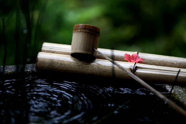 在店小二家他遇到两位狐妖美人，一桩命案掀开店小二的伪装面具