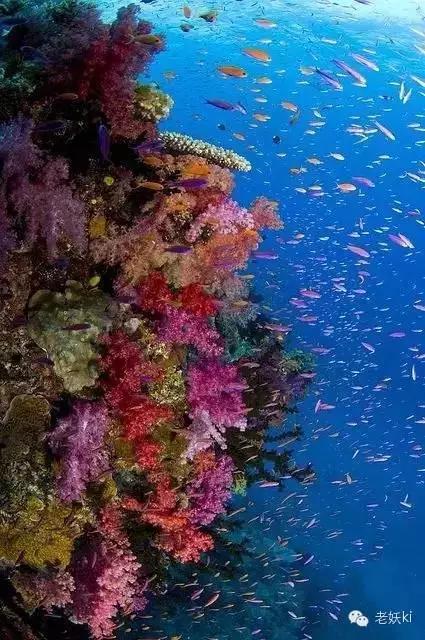 2018最值得去的九个地方,2018年最值得去的旅游省份