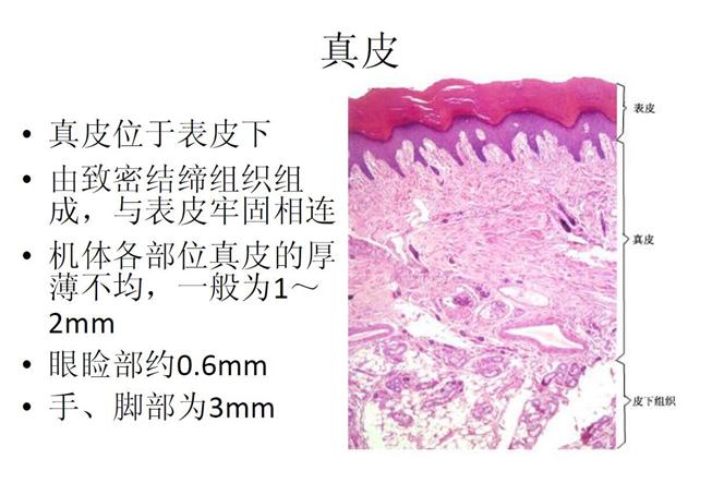 微针治痘坑涂碘伏,微针对深痘坑有效吗