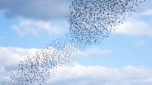 吓尿！歪国人竟用无人机拔牙，这些无人机奇葩用途你绝没见过