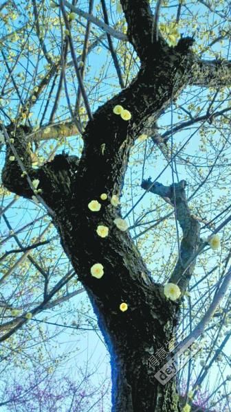 今日武汉|微信提现收取手续费；物价部门发布“菜篮子”预警