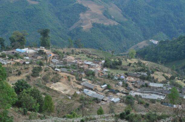 临沧性价比最高的普洱茶山,临沧茶区主要知名茶山
