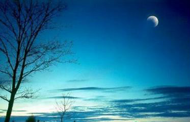 家里有娃娃的请关注儿歌 (儿歌家里有娃娃的请关注)